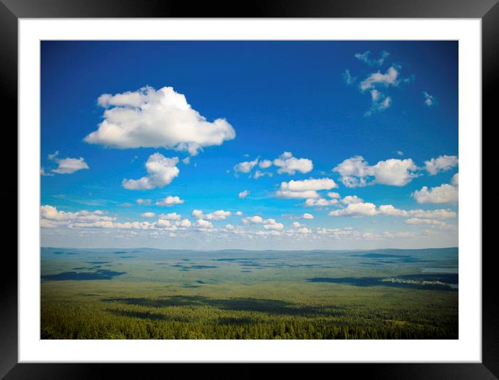 Summer clouds  Framed Mounted Print by Larisa Siverina