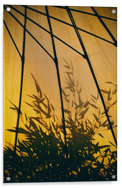 Bamboo Shadows Acrylic by Simon J Beer