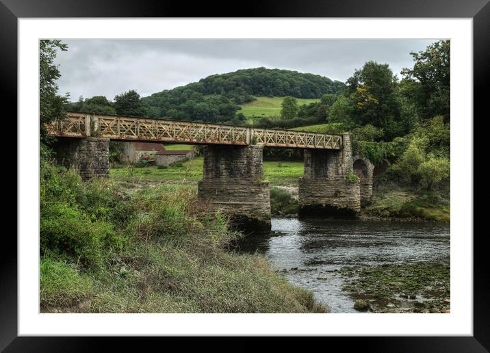 Tintern Railway bridge Framed Mounted Print by Diana Mower