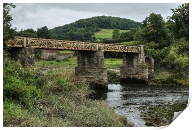 Tintern Railway bridge Print by Diana Mower