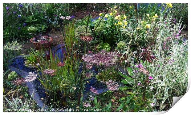 wildlife pond with ornamental plants Print by Audrey Walker