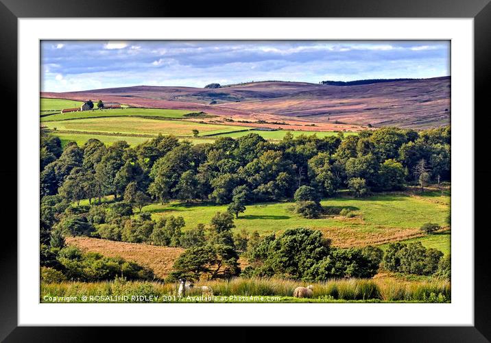 "A view across the North York Moors" Framed Mounted Print by ROS RIDLEY