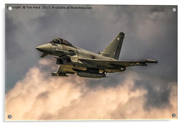 Eurofighter Typhoon Acrylic by Tom Hard