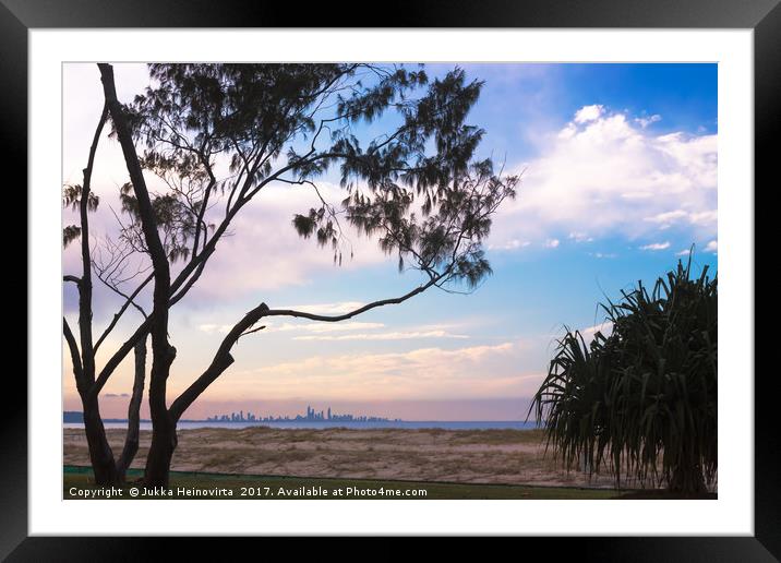Gold Coast Skyline Behind The Branches Framed Mounted Print by Jukka Heinovirta