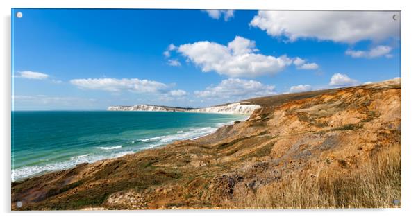 Compton Bay Landslip Isle Of Wight Acrylic by Wight Landscapes