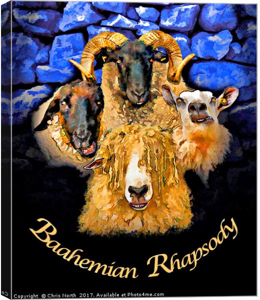 Baahemian Rhapsody. Canvas Print by Chris North
