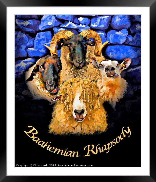 Baahemian Rhapsody. Framed Mounted Print by Chris North