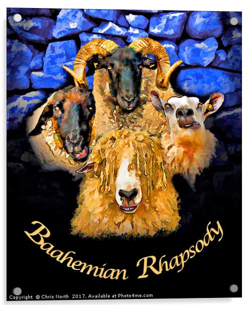 Baahemian Rhapsody. Acrylic by Chris North