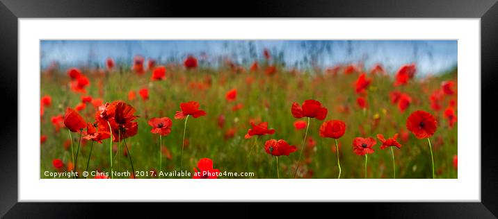 Field of Poppies Panorama.  Framed Mounted Print by Chris North