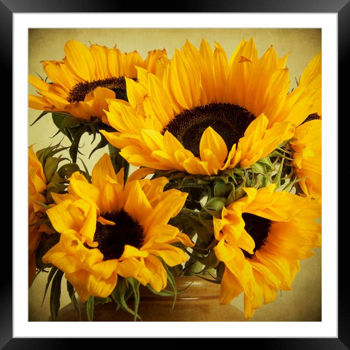 Vintage Sunflowers In A Jar Framed Mounted Print by Lynne Davies