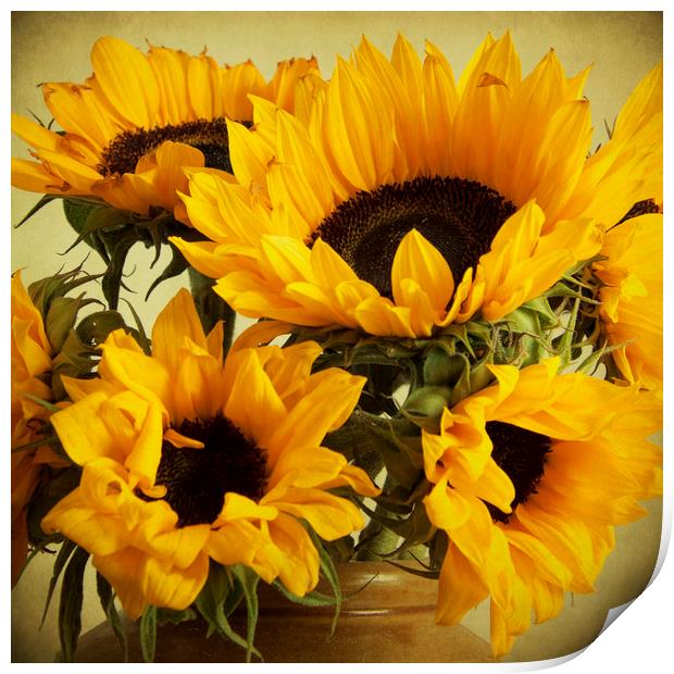 Vintage Sunflowers In A Jar Print by Lynne Davies