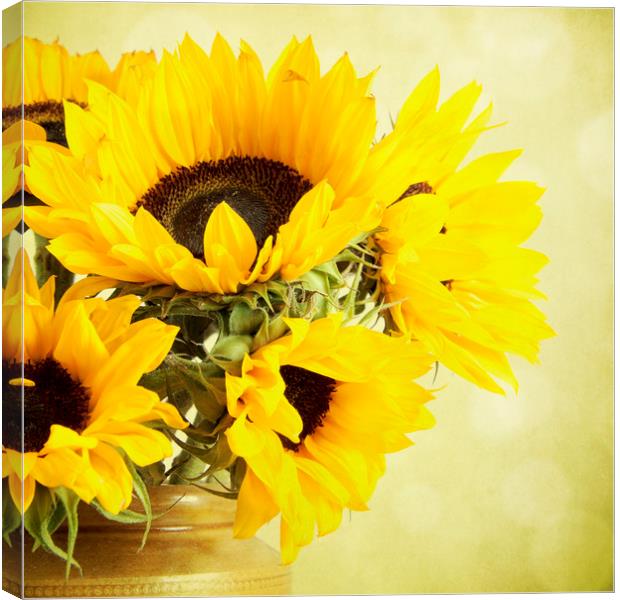 Sunflowers In A Jar Canvas Print by Lynne Davies