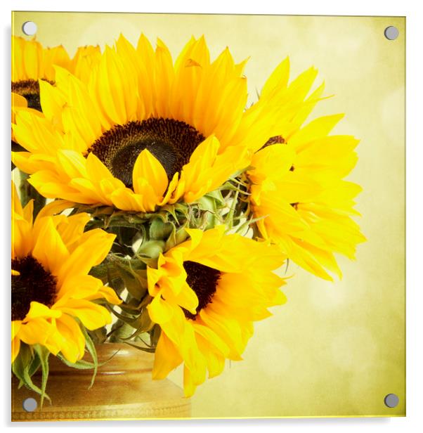Sunflowers In A Jar Acrylic by Lynne Davies