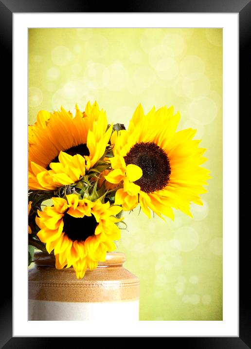 Yellow Sunflowers In A Jar  Framed Mounted Print by Lynne Davies