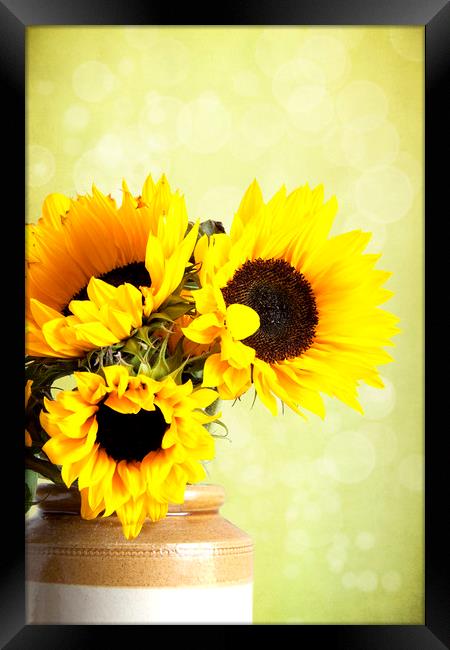 Yellow Sunflowers In A Jar  Framed Print by Lynne Davies