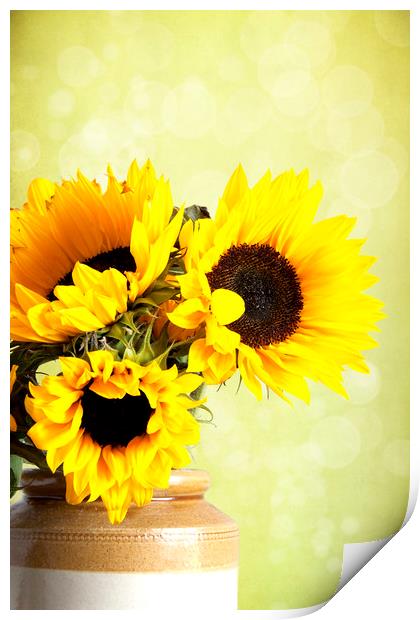 Yellow Sunflowers In A Jar  Print by Lynne Davies