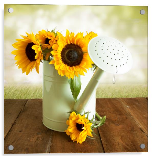 Yellow Sunflowers In A WGreen Watering Can Acrylic by Lynne Davies