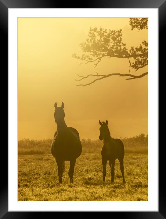 Standing tall Framed Mounted Print by Gary Schulze
