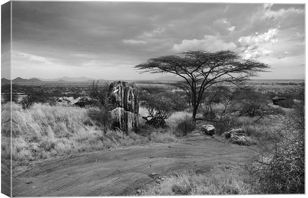 Storm clouds over the Masai Mara Canvas Print by Malcolm Smith