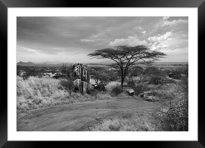 Storm clouds over the Masai Mara Framed Mounted Print by Malcolm Smith