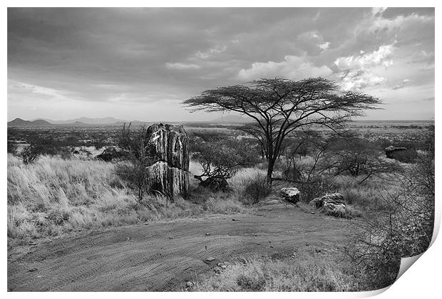 Storm clouds over the Masai Mara Print by Malcolm Smith