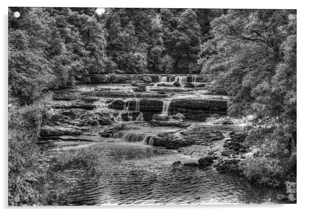 Aysgarth Falls Acrylic by Simon Wilkinson