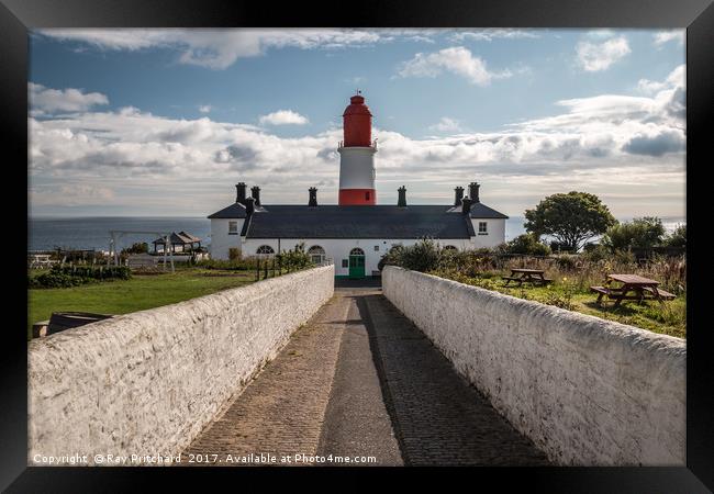 Souter Lighthouse     Framed Print by Ray Pritchard