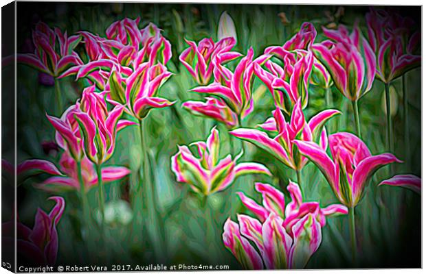 Pink Yellow and Green Tulips in the Spring Canvas Print by Robert M. Vera