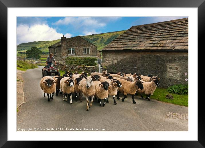 Rush Hour, Starbotton Yorkshire. Framed Mounted Print by Chris North
