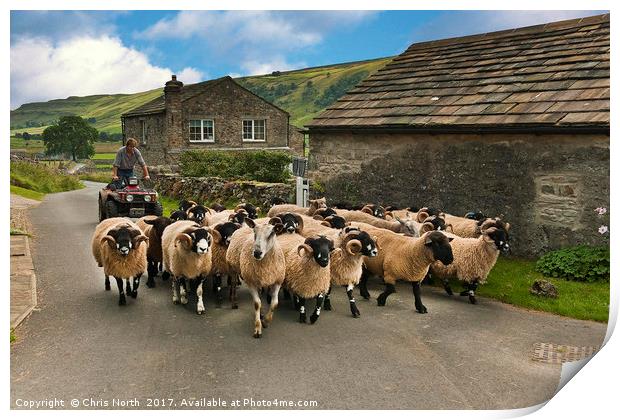 Rush Hour, Starbotton Yorkshire. Print by Chris North