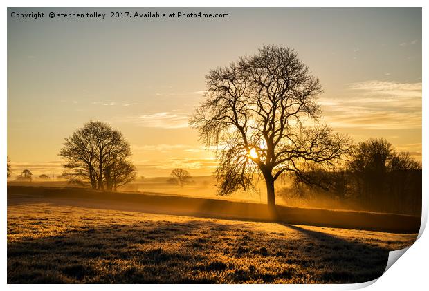 Frosty golden sunrise Print by stephen tolley