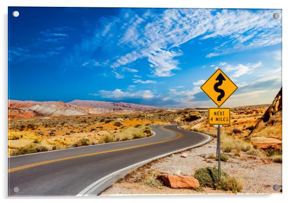 Road Sign for Curves in Desert Acrylic by Darryl Brooks
