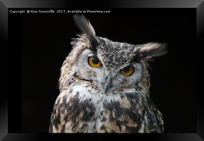 Eagle owl Framed Print by Alan Tunnicliffe