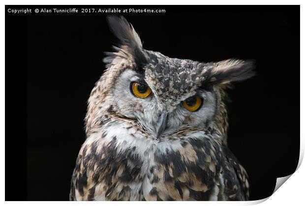 Eagle owl Print by Alan Tunnicliffe