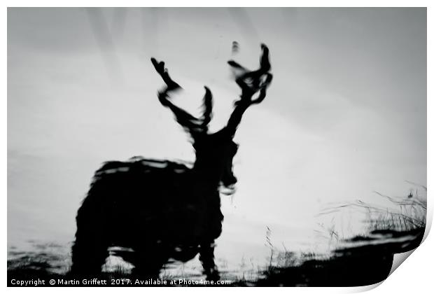 Stag Reflection Print by Martin Griffett