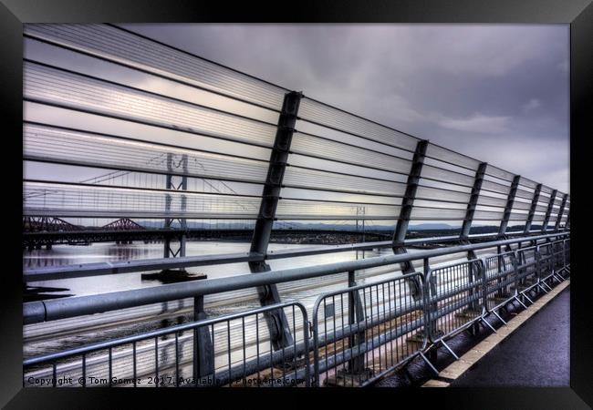 View from the Queensferry Crossing Framed Print by Tom Gomez