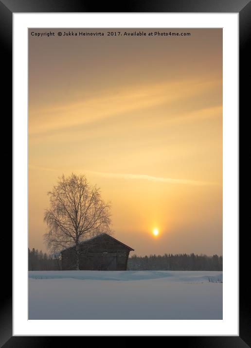 Birch Tree And A Barn In The Sunrise Framed Mounted Print by Jukka Heinovirta