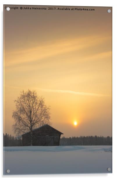 Birch Tree And A Barn In The Sunrise Acrylic by Jukka Heinovirta