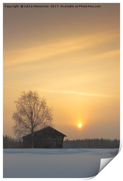 Birch Tree And A Barn In The Sunrise Print by Jukka Heinovirta
