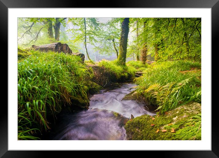 Serenity Framed Mounted Print by Michael Brookes