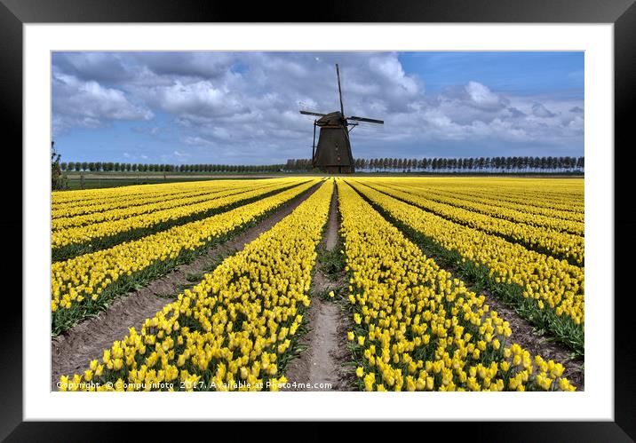 dutch windmill and tulip fields Framed Mounted Print by Chris Willemsen
