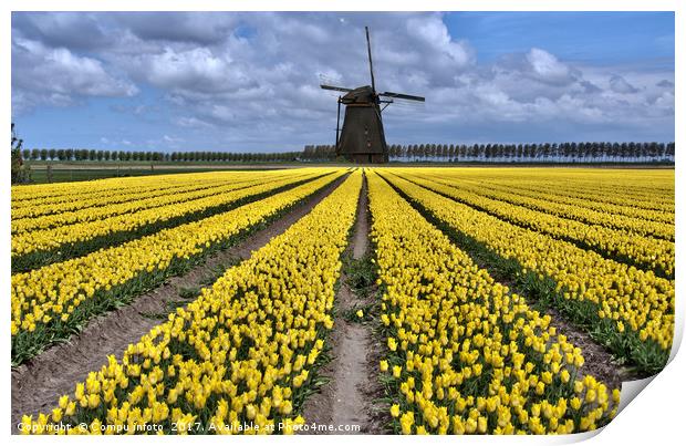 dutch windmill and tulip fields Print by Chris Willemsen