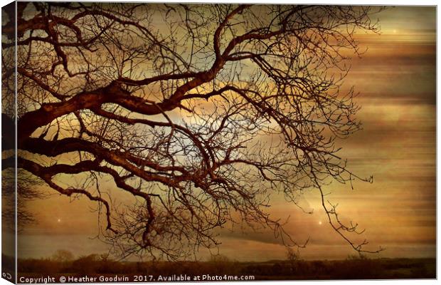 A Winters Evening Canvas Print by Heather Goodwin