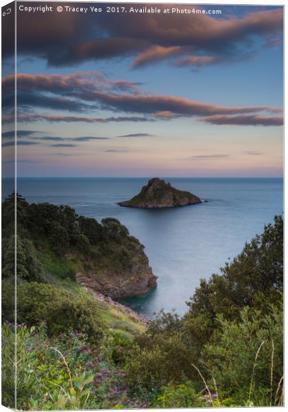 Thatcher Rock at Sunset  Canvas Print by Tracey Yeo