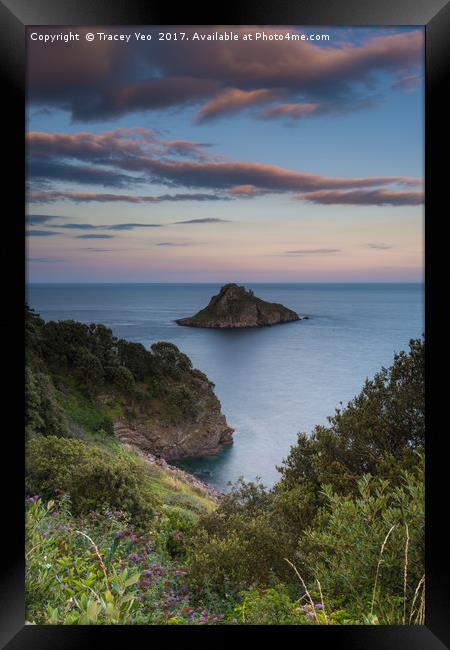 Thatcher Rock at Sunset  Framed Print by Tracey Yeo