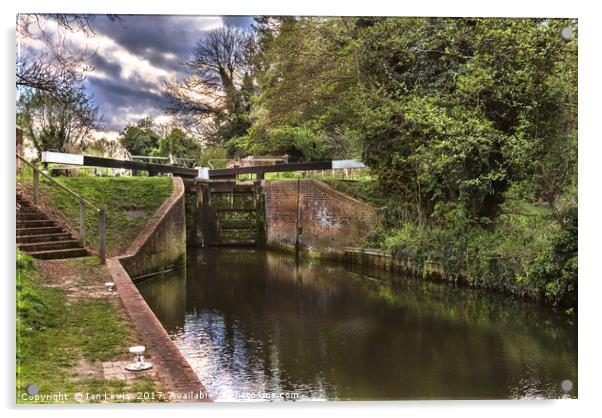 Approaching Garston Lock near Theale Acrylic by Ian Lewis
