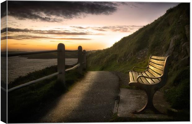 Wales Coastal Path bench Canvas Print by Leighton Collins