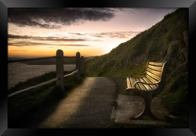 Wales Coastal Path bench Framed Print by Leighton Collins