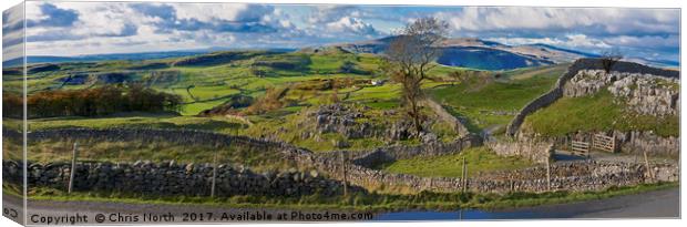 Winskill Stones and Penyghent Canvas Print by Chris North