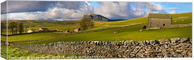 Pen-y-ghent in the Yorkshire Dales. Canvas Print by Chris North